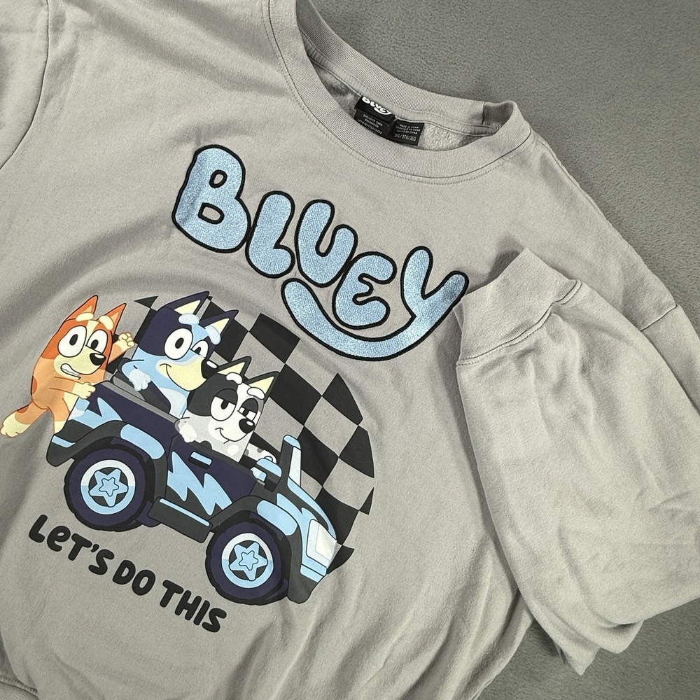 Bluey Gray Crew Neck Pullover Sweatshirt Graphic Print Long Sleeve womens XL